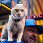 Keeley “The Bull Citty Kitty” - @keeleyjonesdurham - Instagram