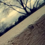 keeley king - @photography._.life.xo - Instagram