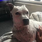 Keeley Kirk - Facebook