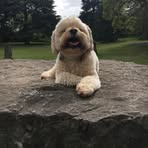 Keeley Langford - Facebook