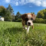 Keeley Larson - @keeley_lar22 - Instagram
