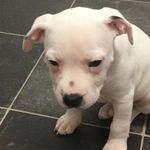 Keeley Rhiann Lowe - @kewi241007 - Instagram