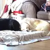 Keeleymarriner08 - @keeleymarriner08 - TikTok