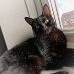 Keeley McCabe - @keeleym2021 - Instagram
