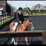 Keeley Moore - @equine.fizz.keeley - Instagram