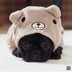 Keeley Morris - @keeley.morris.397 - Instagram