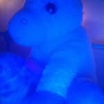 Keeley patterson - @unicorn_keeley - Instagram