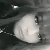 Keeley Phillips - @keeleyphillips1 - TikTok