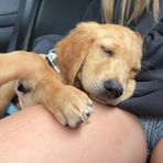 Keeley Rich - Facebook