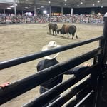Keeley ross - @jd_pbr_buckingbulls - Instagram
