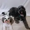 Keeley♡ - @keeley.taylor1 - TikTok