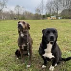 Keeley Thayer - Facebook