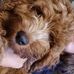 Keeley Thomas - Facebook