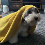 @keeleytownsend0 - Instagram