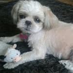 KeeleyTownsend - @keeltownsend12 - Instagram