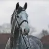 Keeley ward - @xkeeley.wardx - TikTok
