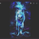 Keeley Durham - @keeley_cheetah_wolf_ - Instagram