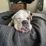 k - @_keelybailey - Instagram