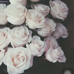 keely - @keely____brewer - Instagram