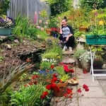 Keely Buckley - @keelybuckley_pickled - Instagram