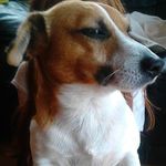 keely Doyle - @keely_2003_doyle - Instagram