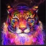 Keely Klein - @keely385kittyball - Instagram