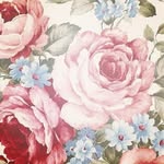 Keely Long - @keely.long.792 - Instagram