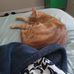 Keely Walker - Facebook