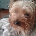 keely wilson - @wilsonmcs1117 - Instagram