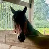 Keely Wilson - @kw29849 - TikTok