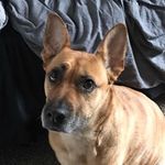 Keena(Bean) - @keenabigbean - Instagram