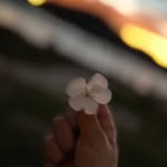 LEE - @_keenalee_ - Instagram