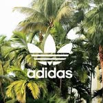 keenan smith - @keenansmith32 - Instagram