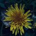 Keenan Thomas - Facebook