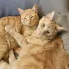 Keenan R Turner - @keenan.r.turner - TikTok