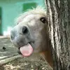 Blake! - @blake_keenan - TikTok