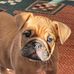 Keenan Blakey - Facebook