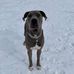 Carter Keenan - Facebook