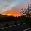 Lambo_1321 - @keenan_lambert - TikTok