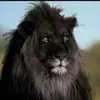 Keenan Moore387 - @keenanmoore387 - TikTok