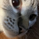 @keenanpost_2 - Instagram