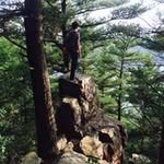 Kegan Avery - @wombatandthelyricsmachine - Instagram
