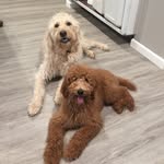 Keiko & Bella Alcos - @keiko_bella - Instagram