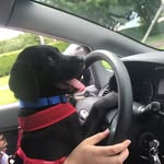 Keiko Nelson - @keikothemeeko - Instagram