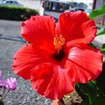 Keiko Ueda - @ueda1035 - Instagram