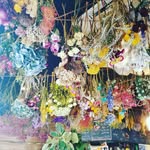 Keiko Ueda - @kei.u11mhm - Instagram