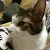 Keiko Ueda - @2142896746 - TikTok