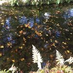 Keiko Ueda - @ueda_keiko - Instagram