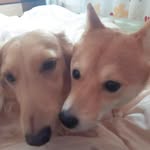 Keiko Ueda - @rock_anzu.mother - Instagram