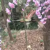 keikoueda1971 - @keikoueda1971 - TikTok